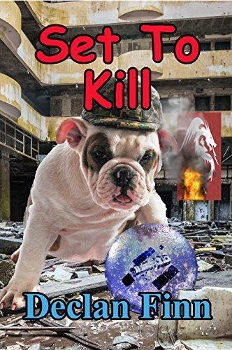 Set to Kill book cover