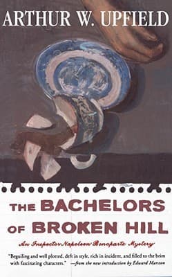 The Bachelors of Broken Hill book cover