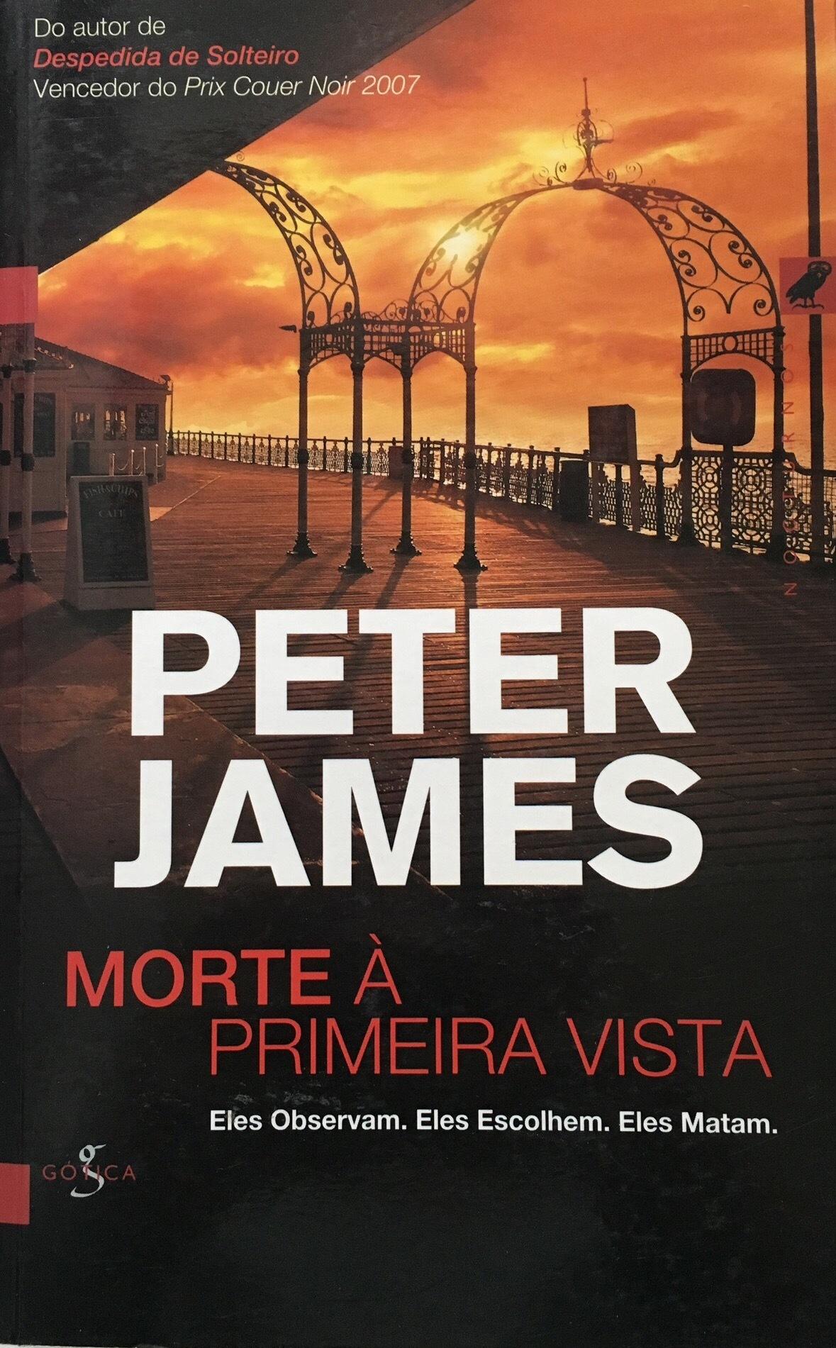 Morte à Primeira Vista book cover