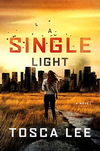 A Single Light: A Thriller book cover