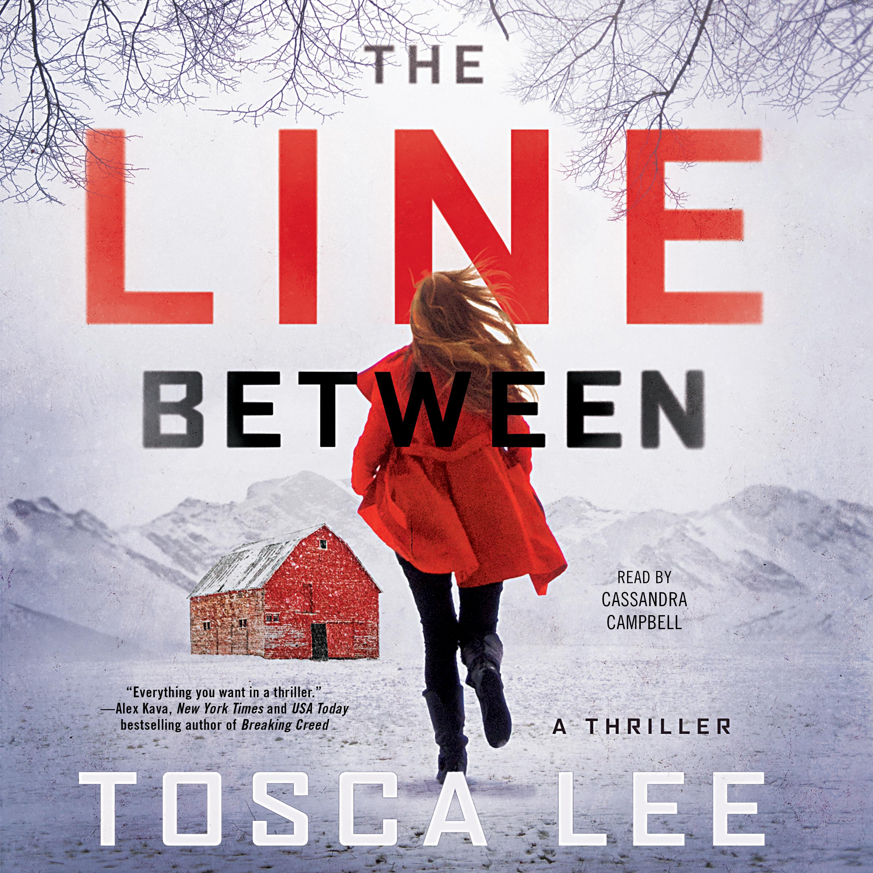 The Line Between: A Novel book cover