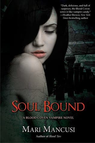 Soul Bound book cover