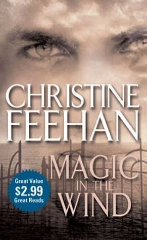 Magic in the Wind book cover