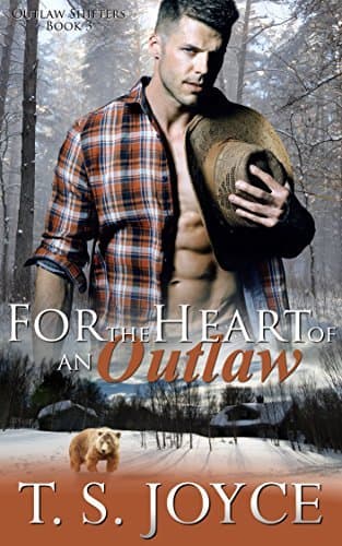 For The Heart Of An Outlaw book cover