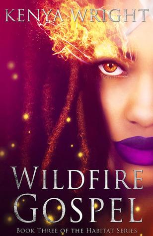 Wildfire Gospel book cover