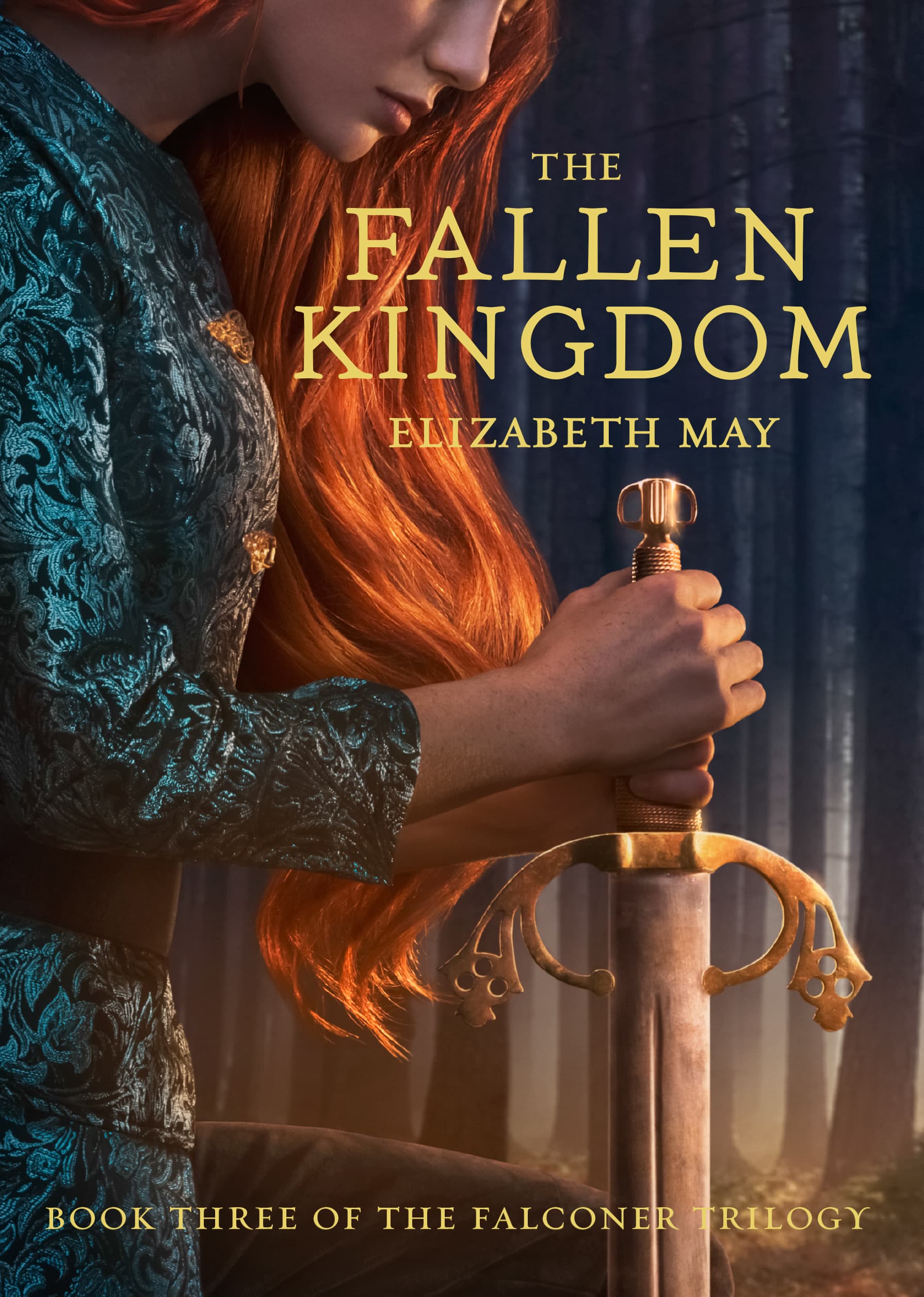 The Fallen Kingdom book cover
