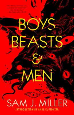 Boys, Beasts & Men book cover