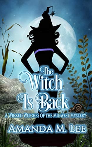 The Witch is Back book cover