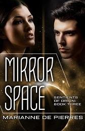 Mirror Space book cover