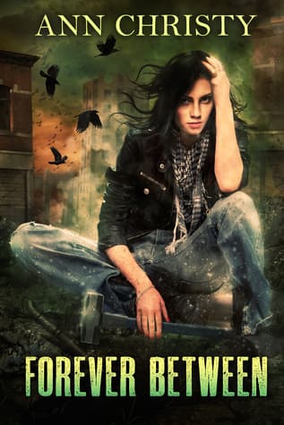 Series Book Cover Preview