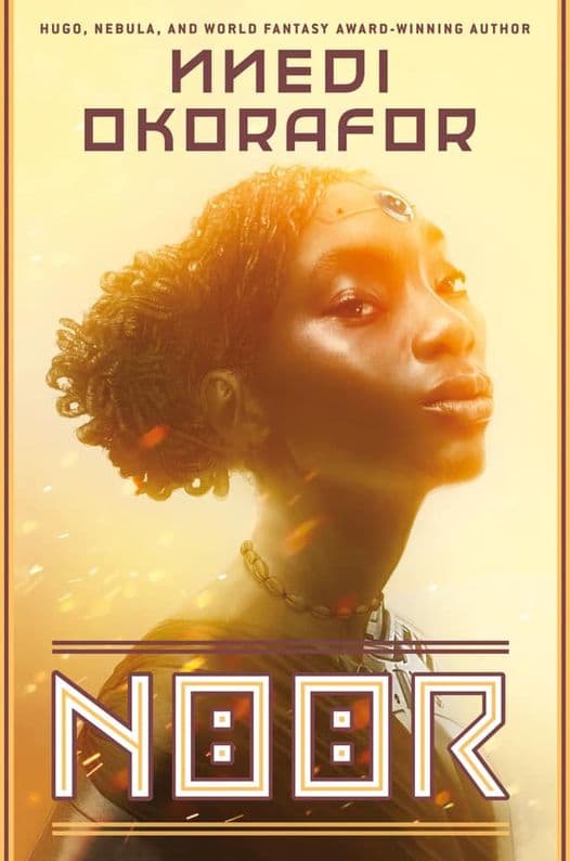 Noor book cover