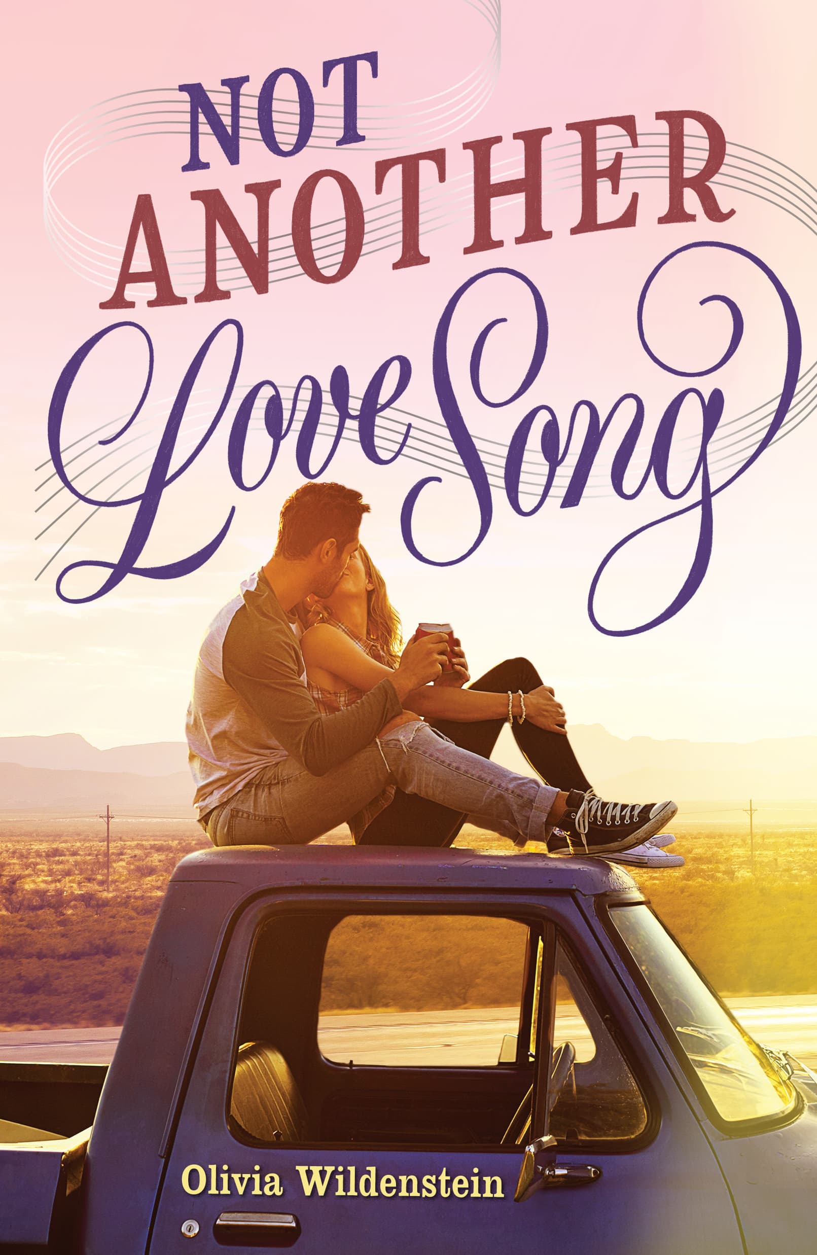 Not Another Love Song book cover