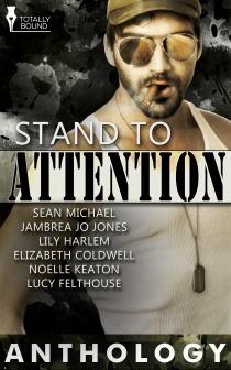 Stand to Attention book cover