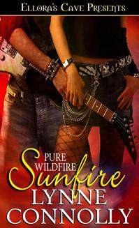 Sunfire book cover