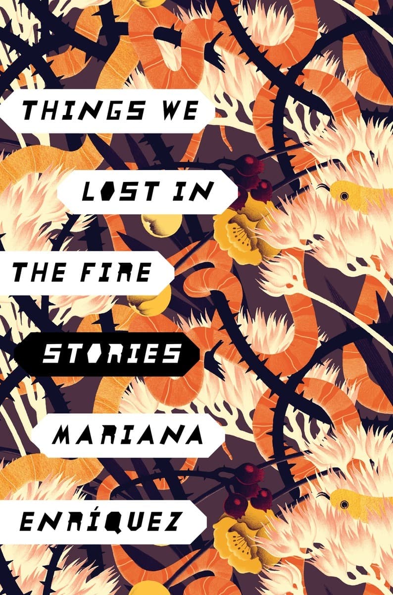 Things We Lost in the Fire book cover