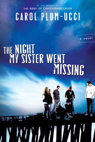 The Night My Sister Went Missing book cover