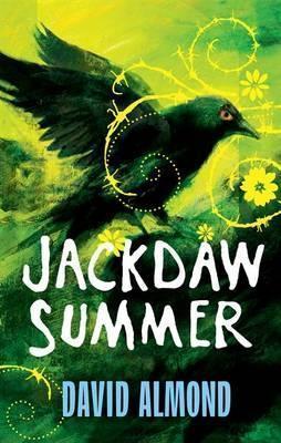 Jackdaw Summer book cover