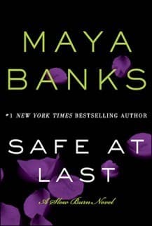 Safe at Last book cover