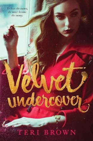 Velvet Undercover book cover