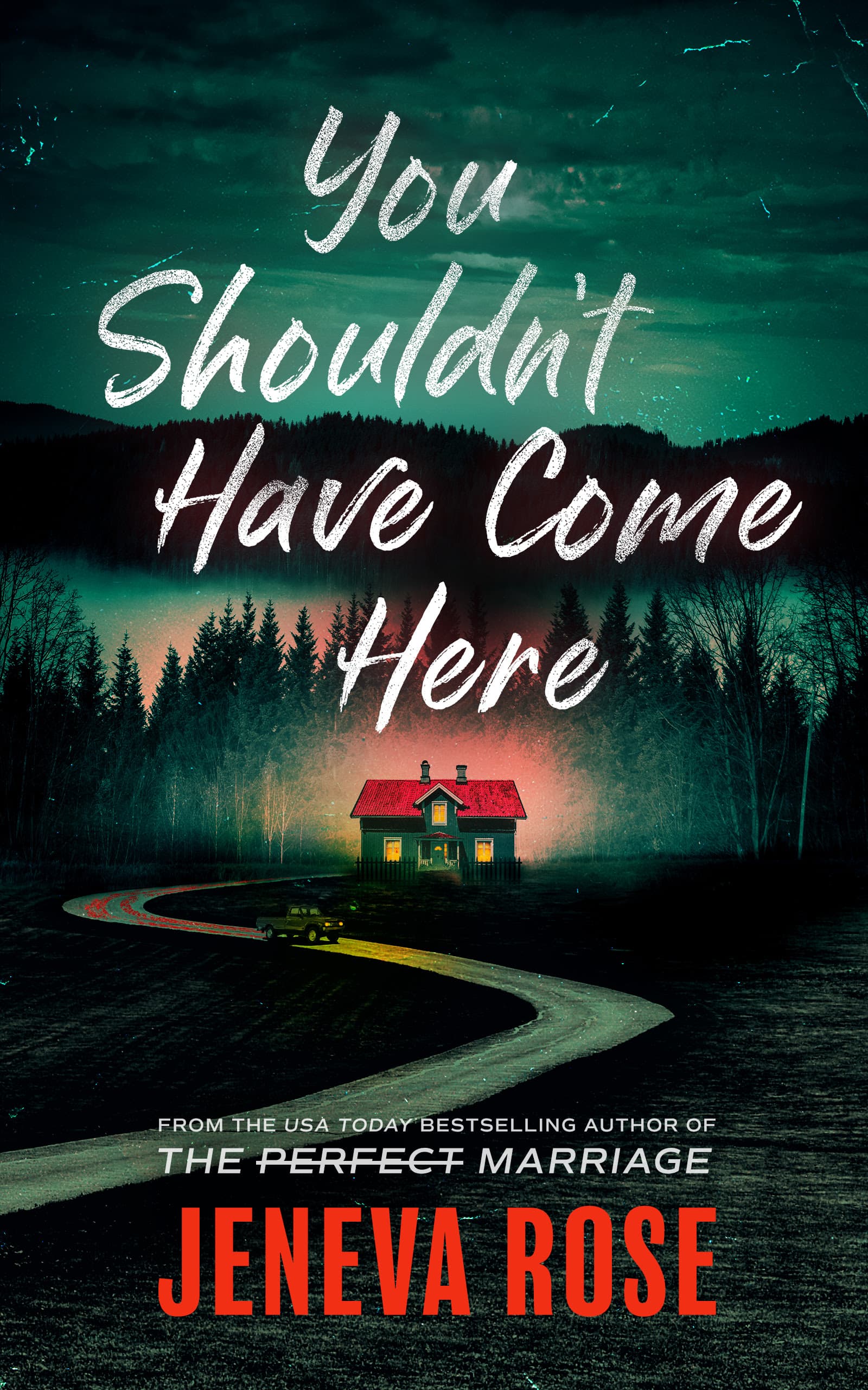 You Shouldn't Have Come Here book cover