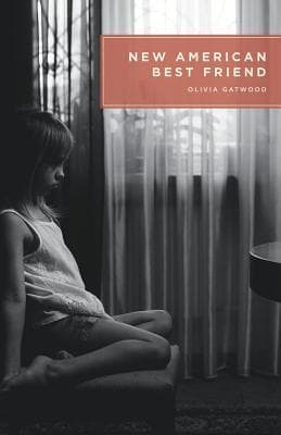New American Best Friend book cover