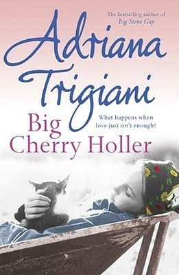 Big Cherry Holler book cover