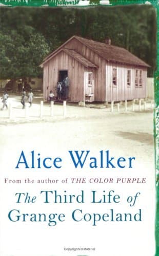 The Third Life Of Grange Copeland book cover
