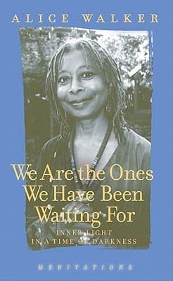 We Are the Ones We Have Been Waiting For: Inner Light in a Time of Darkness book cover