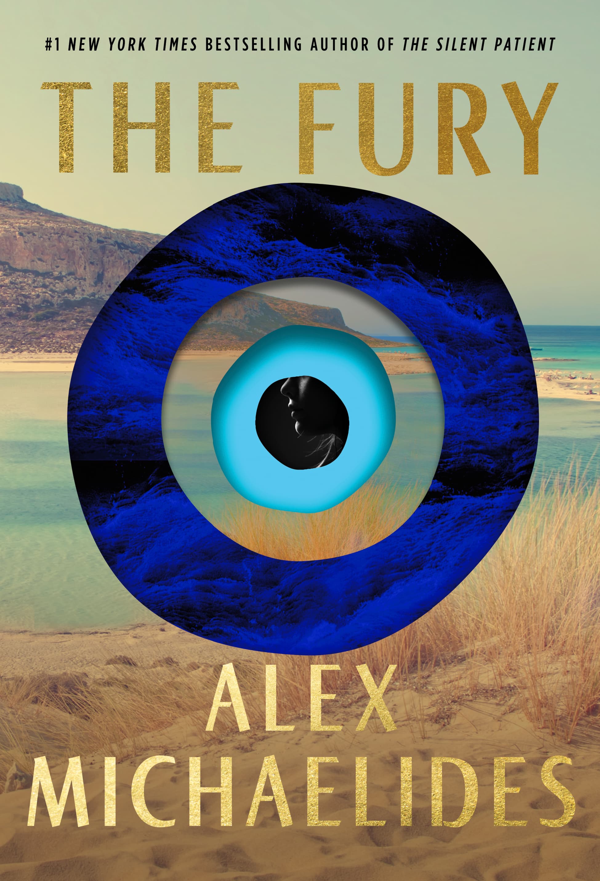 The Fury book cover