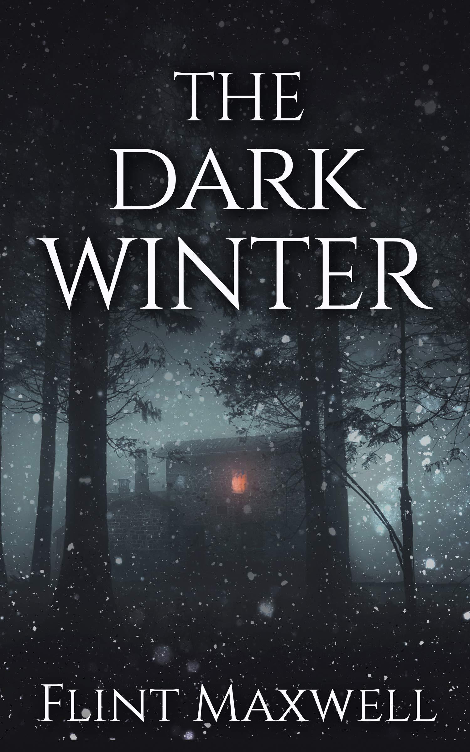 The Dark Winter book cover