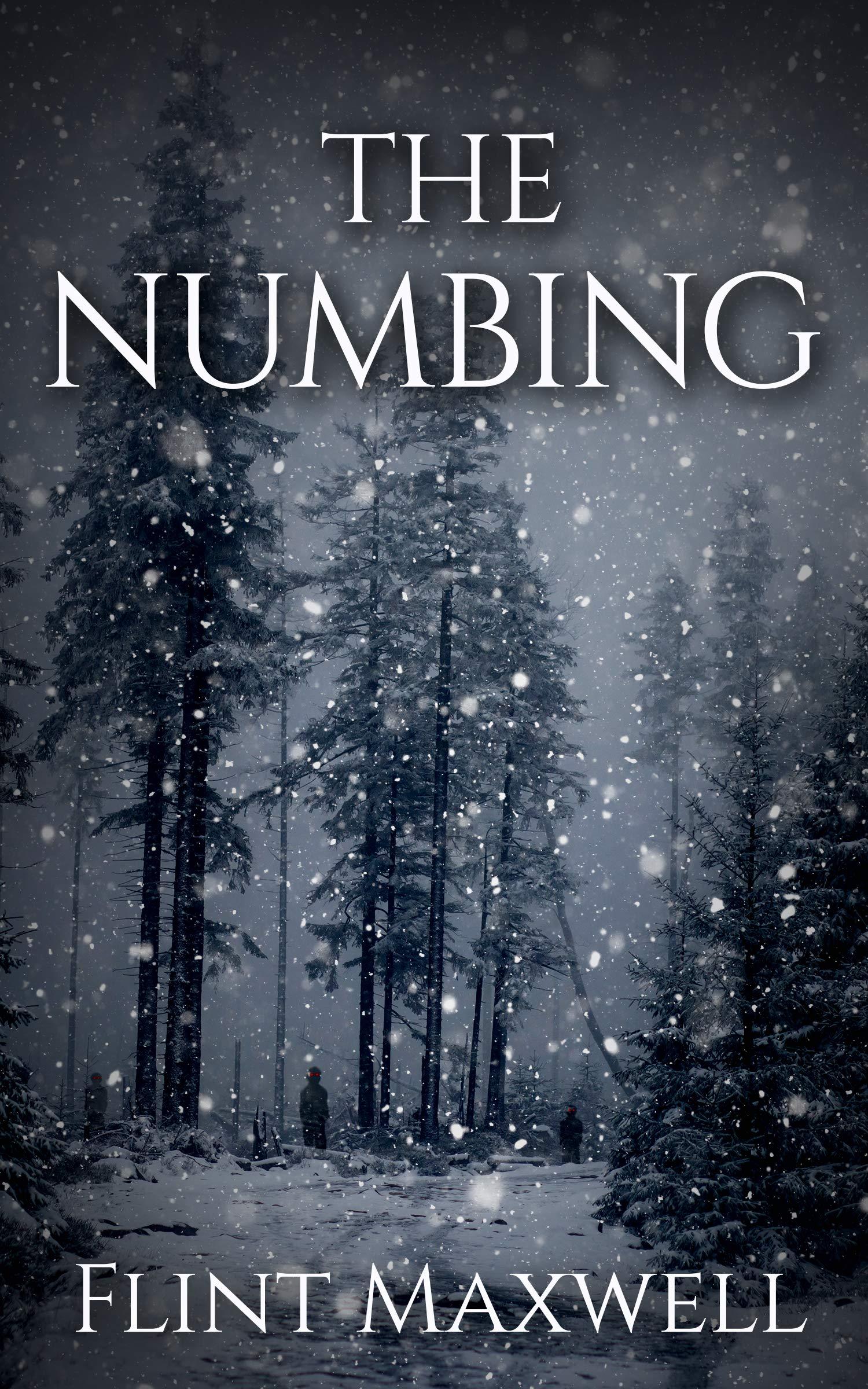 The Numbing book cover