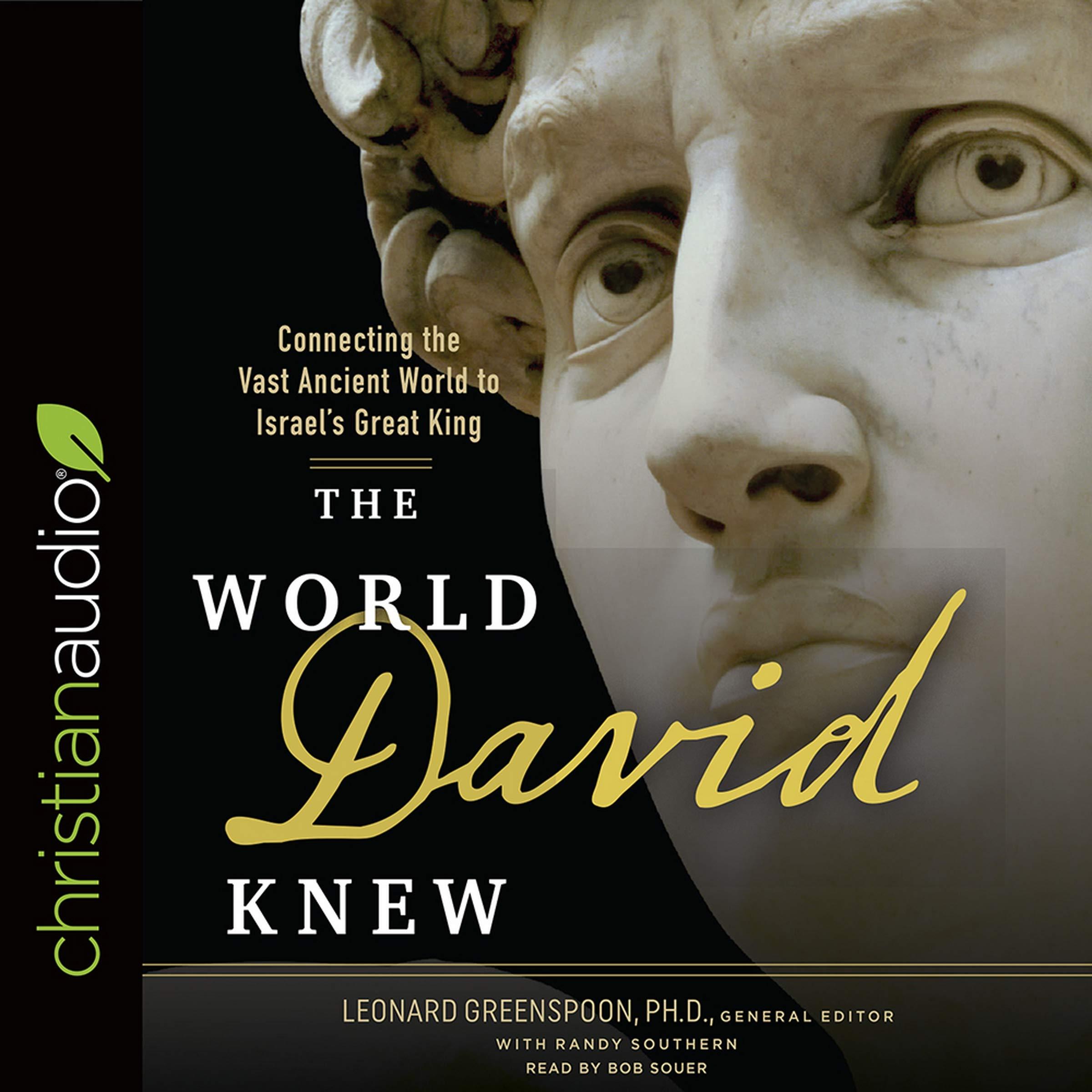 World David Knew: Connecting the Vast Ancient World to Israel's Great King book cover