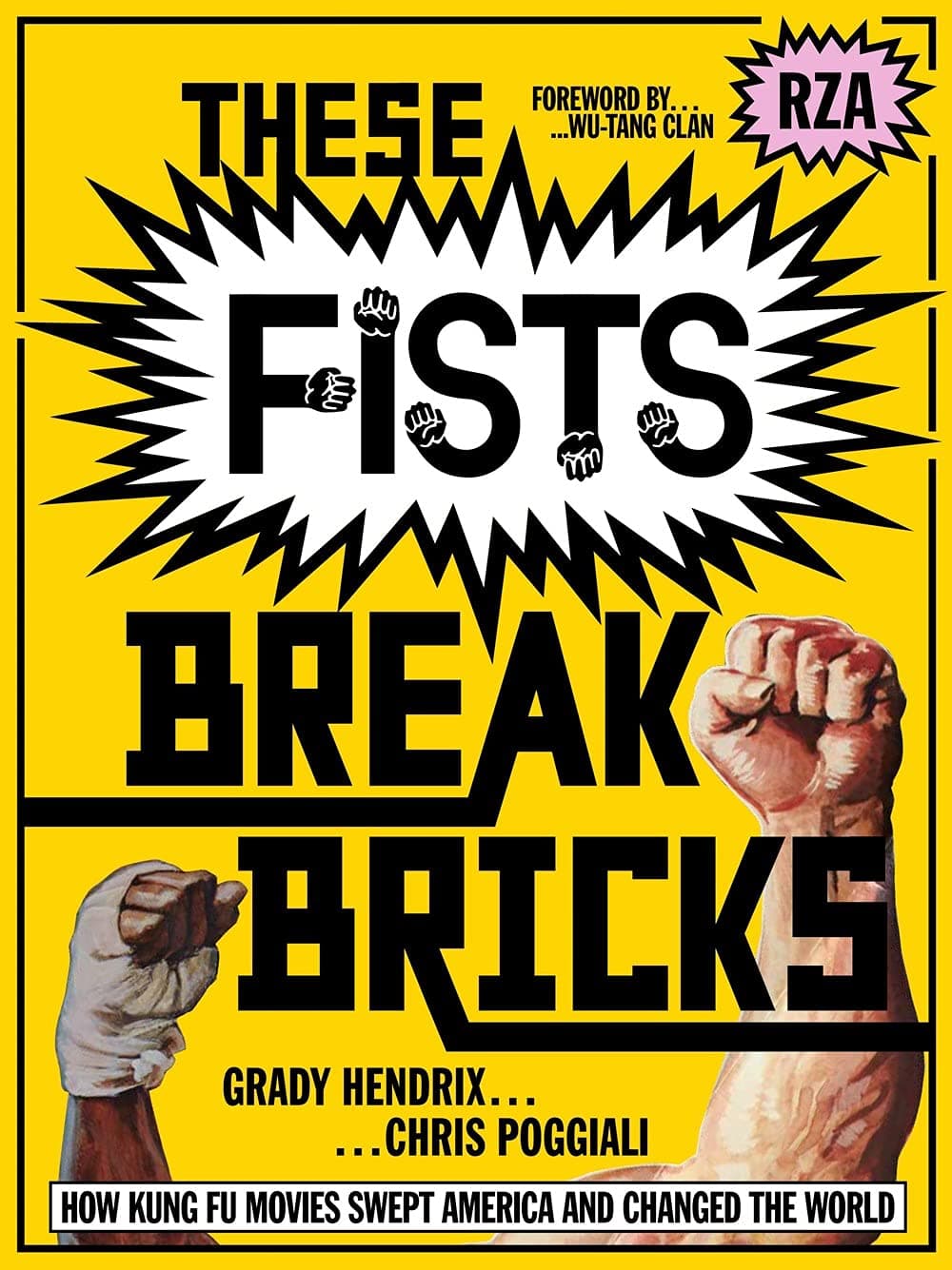 These Fists Break Bricks: How Kung Fu Movies Swept America and Changed the World book cover