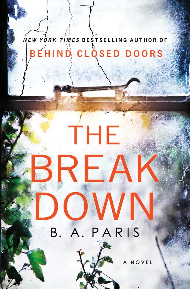 The Breakdown book cover