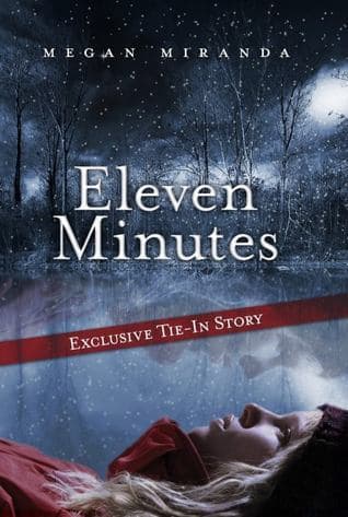 Eleven Minutes book cover