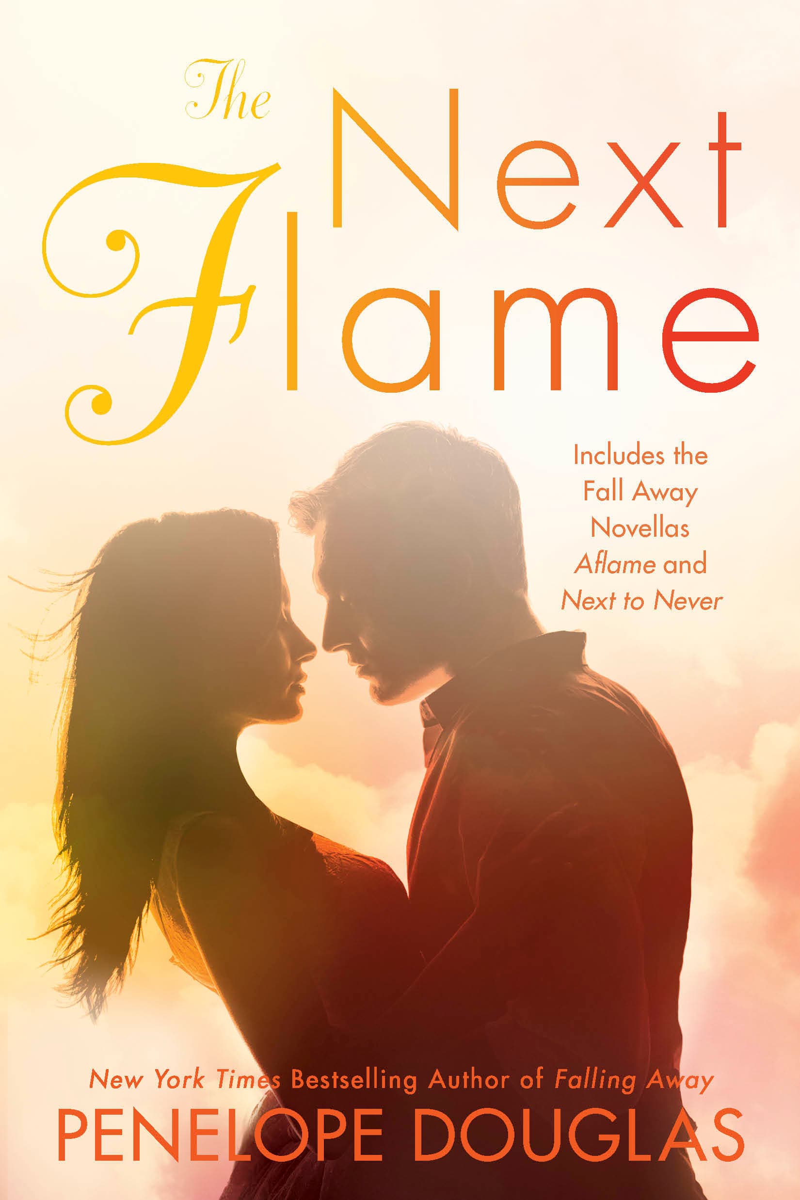 The Next Flame book cover