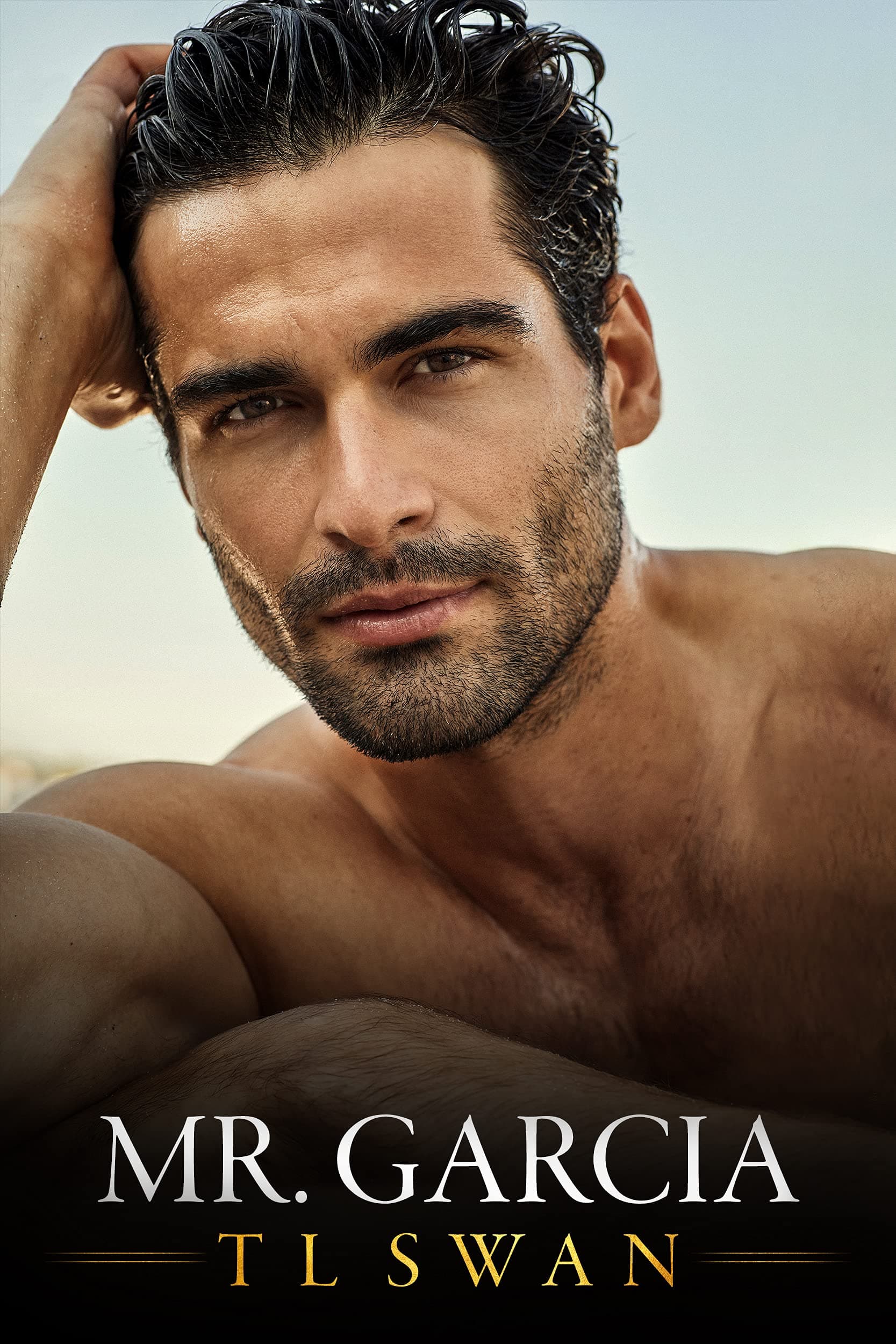Mr. Garcia book cover