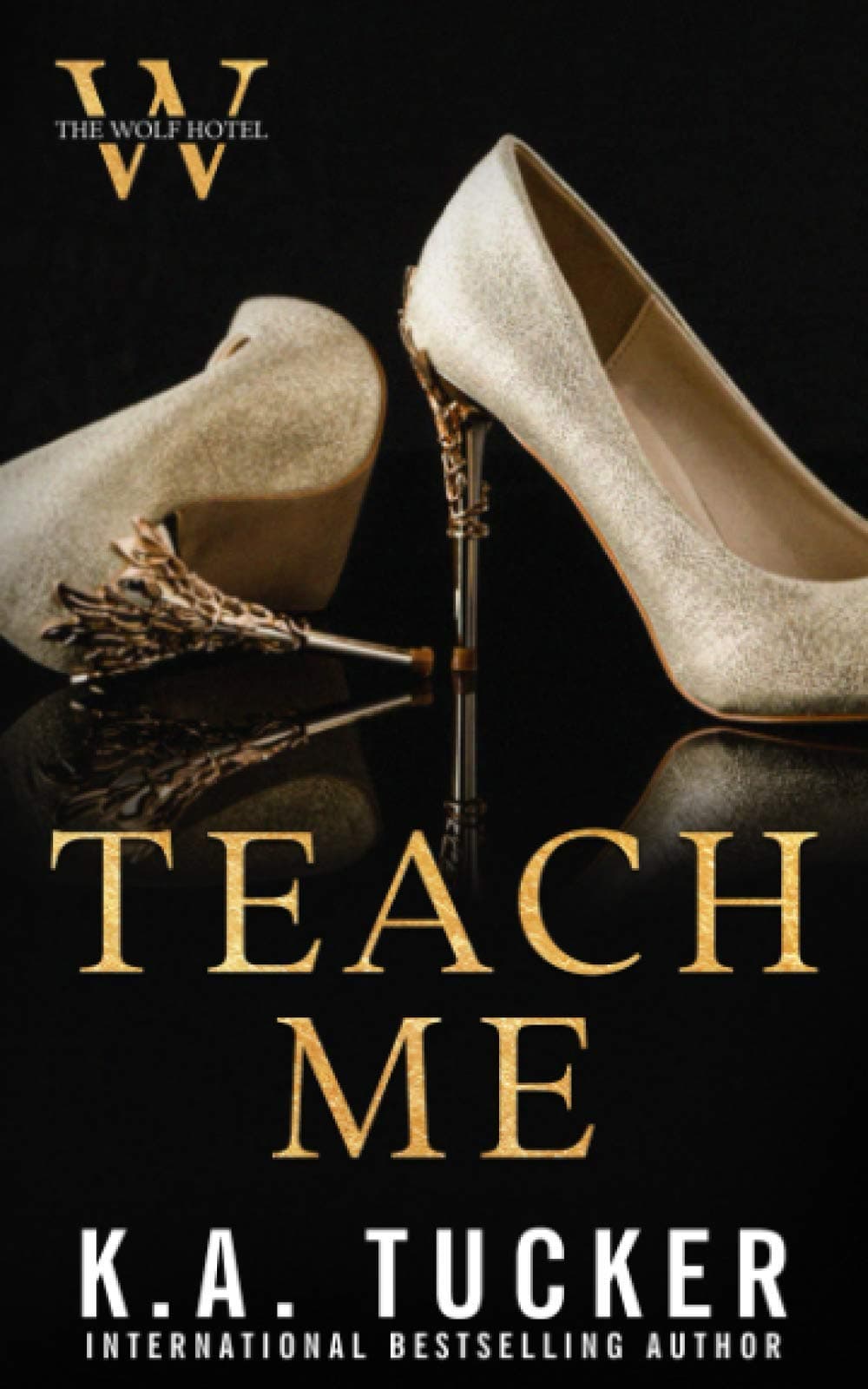 Teach Me book cover