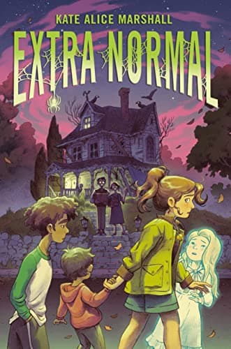 Extra Normal book cover