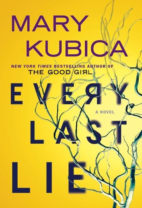 Every Last Lie book cover