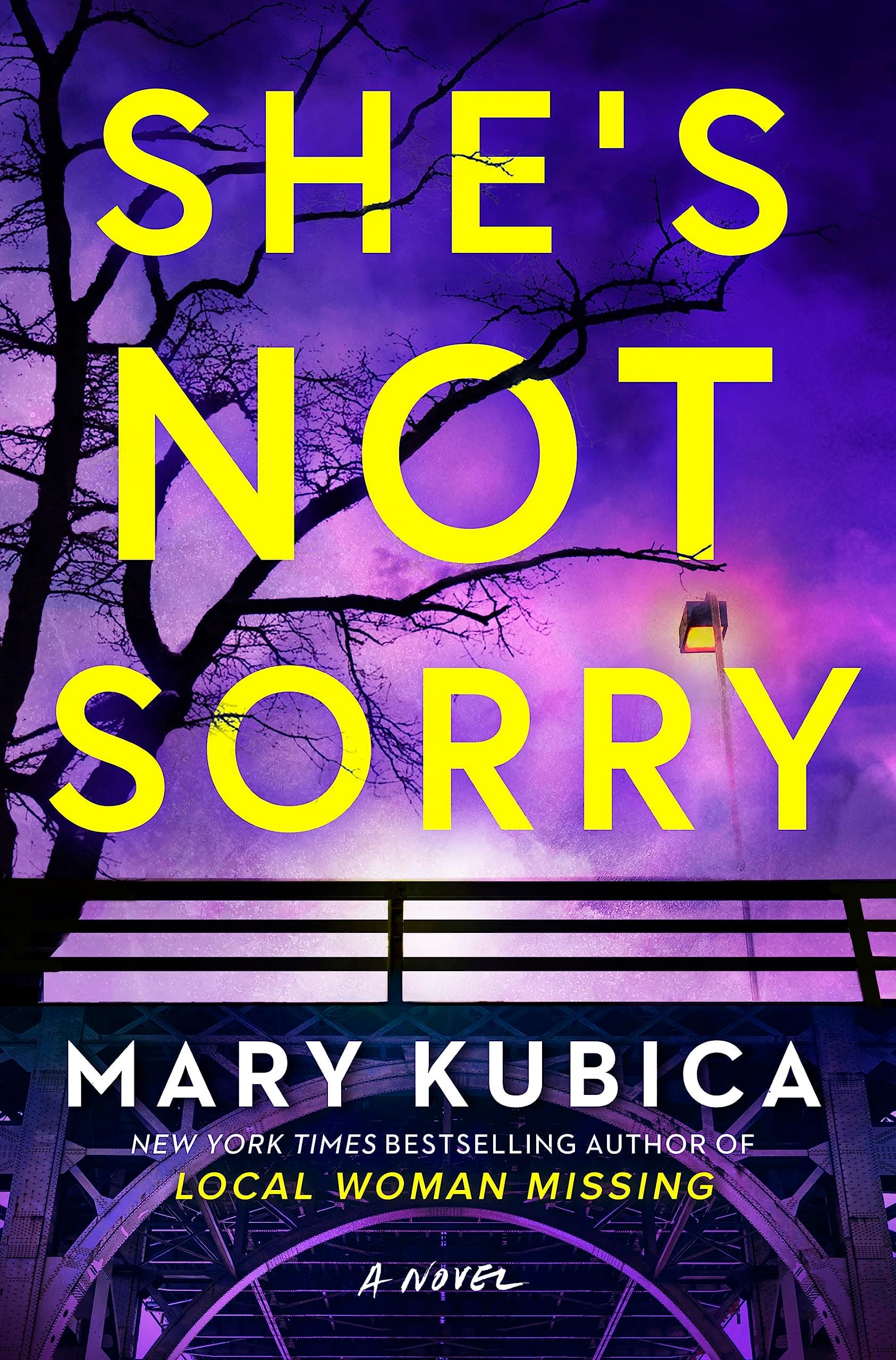 She's Not Sorry book cover