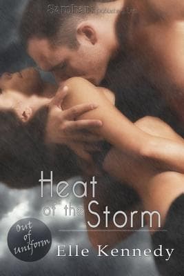 Heat of the Storm book cover
