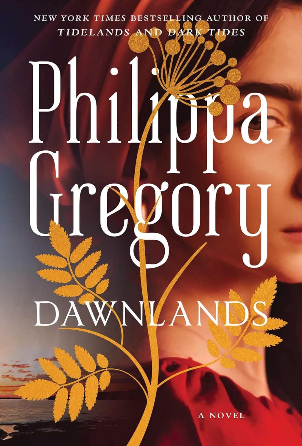 Dawnlands book cover