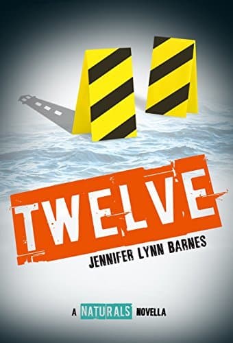 Twelve book cover