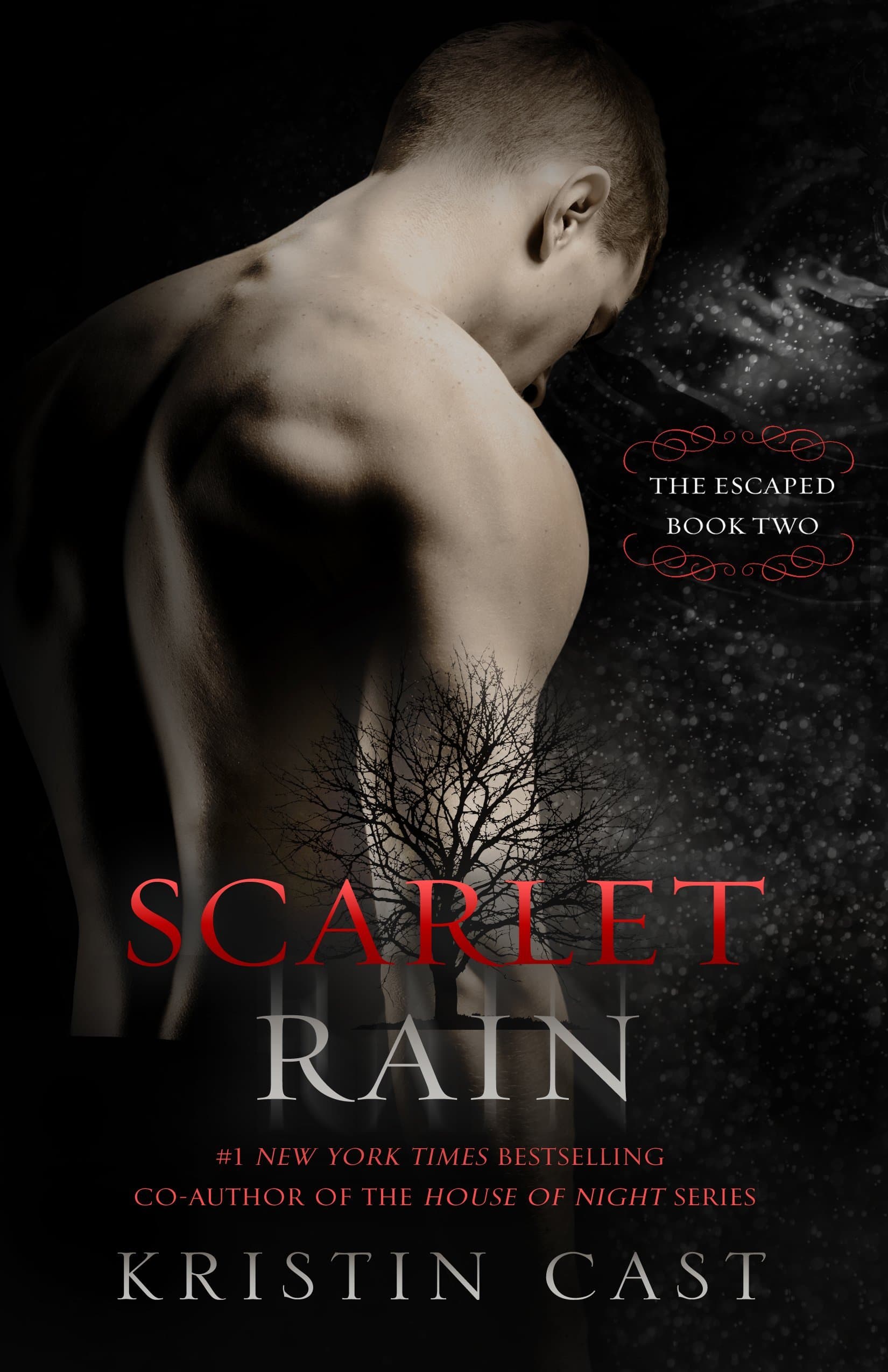 Scarlet Rain book cover