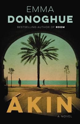 Akin book cover