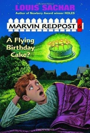 Flying Birthday Cake? book cover