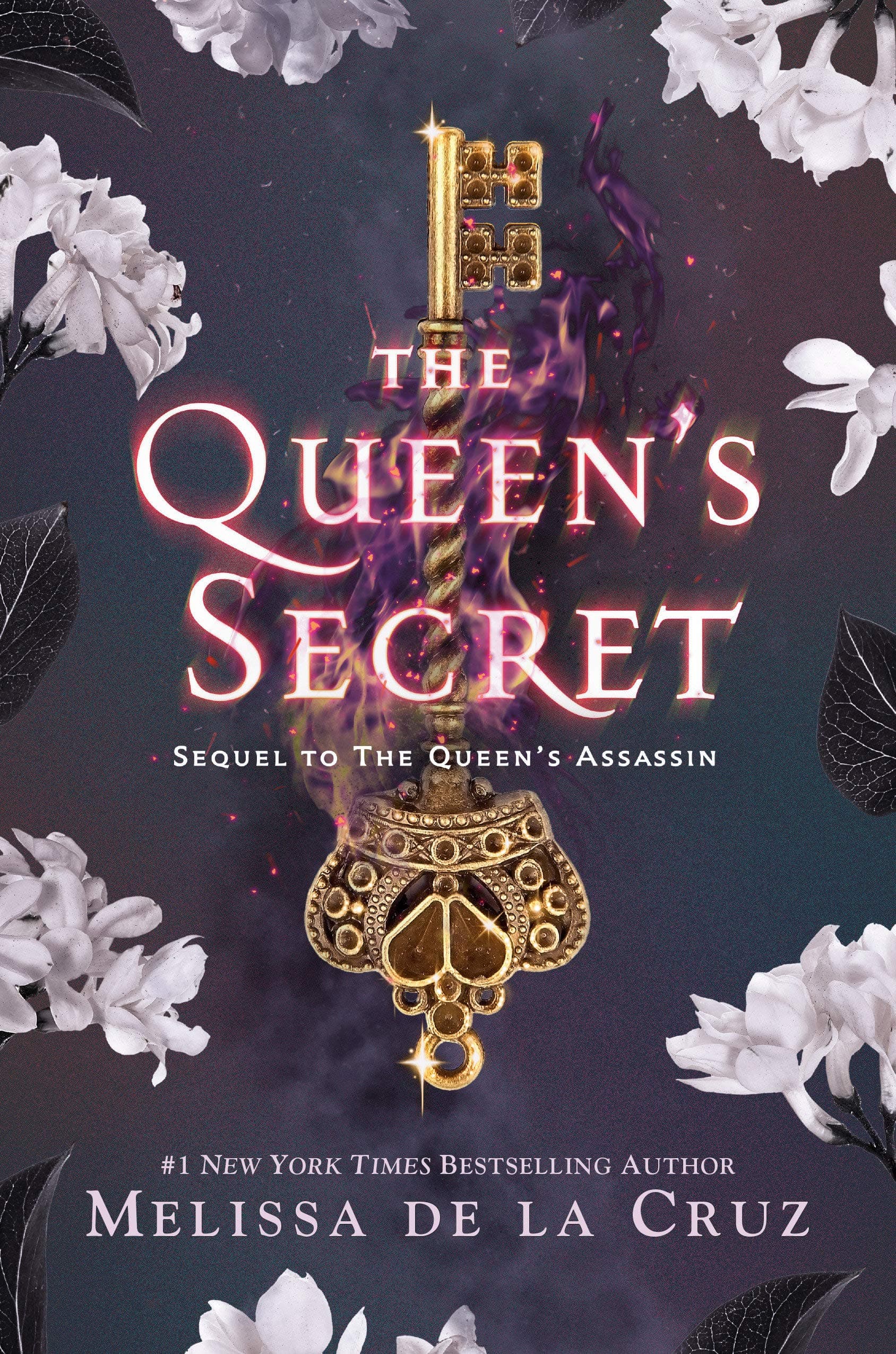 The Queen's Secret book cover