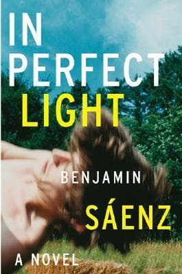 In Perfect Light book cover