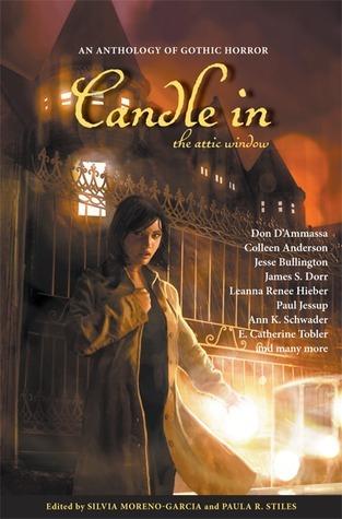 Candle in the Attic Window book cover